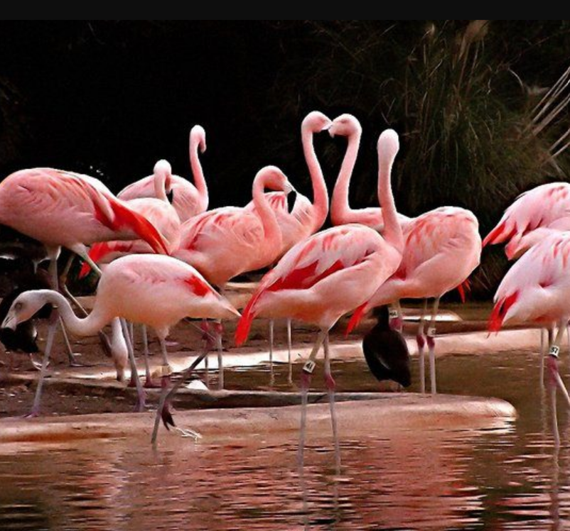 Naivasha web design services - Bhive digital